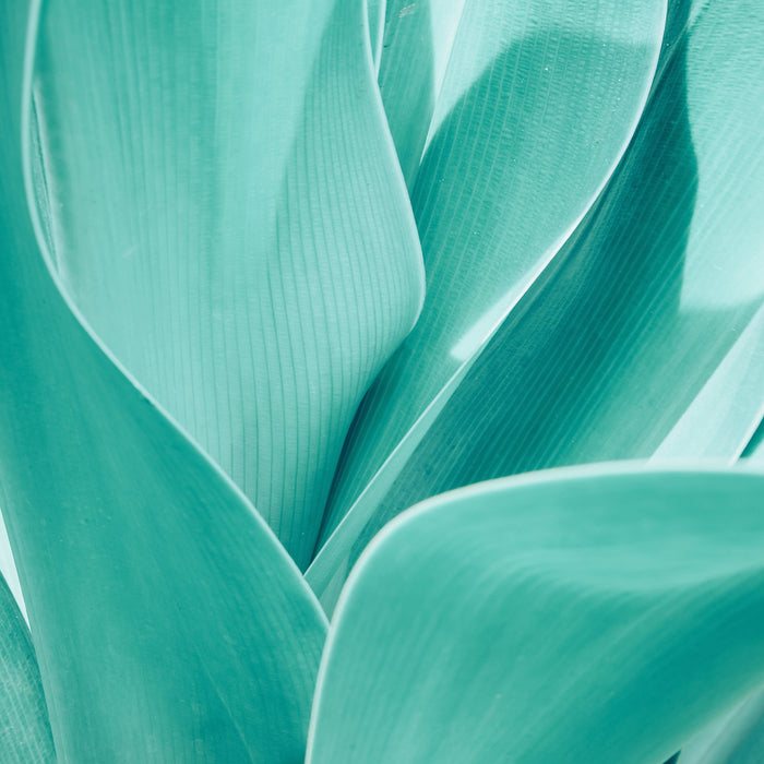 Must Have Products for Dry or Dehydrated Skin